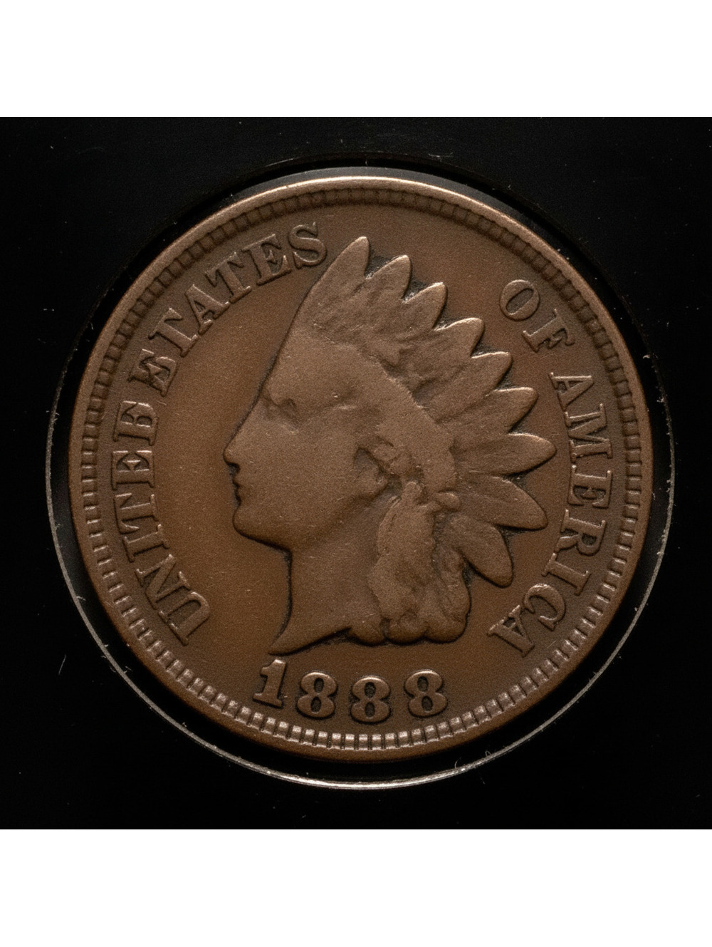 1888 Indian Head Penny #233